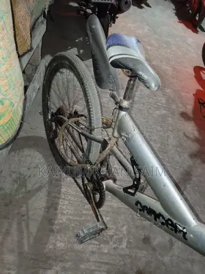 বাই সাইকেল