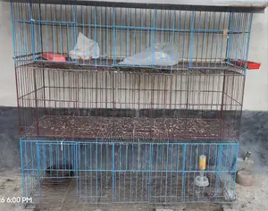 ২ পিচ মুরগি বা কবুতরের খাঁচা বিক্রি হবে