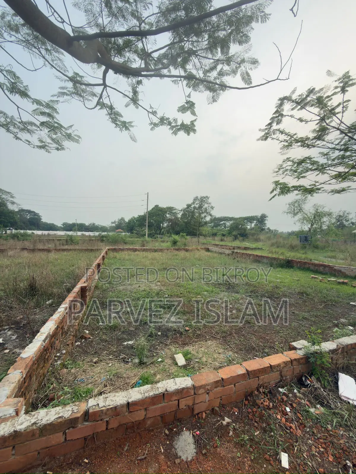 North Facing 3 Katha Plot near Mohammadpur Direct Owner