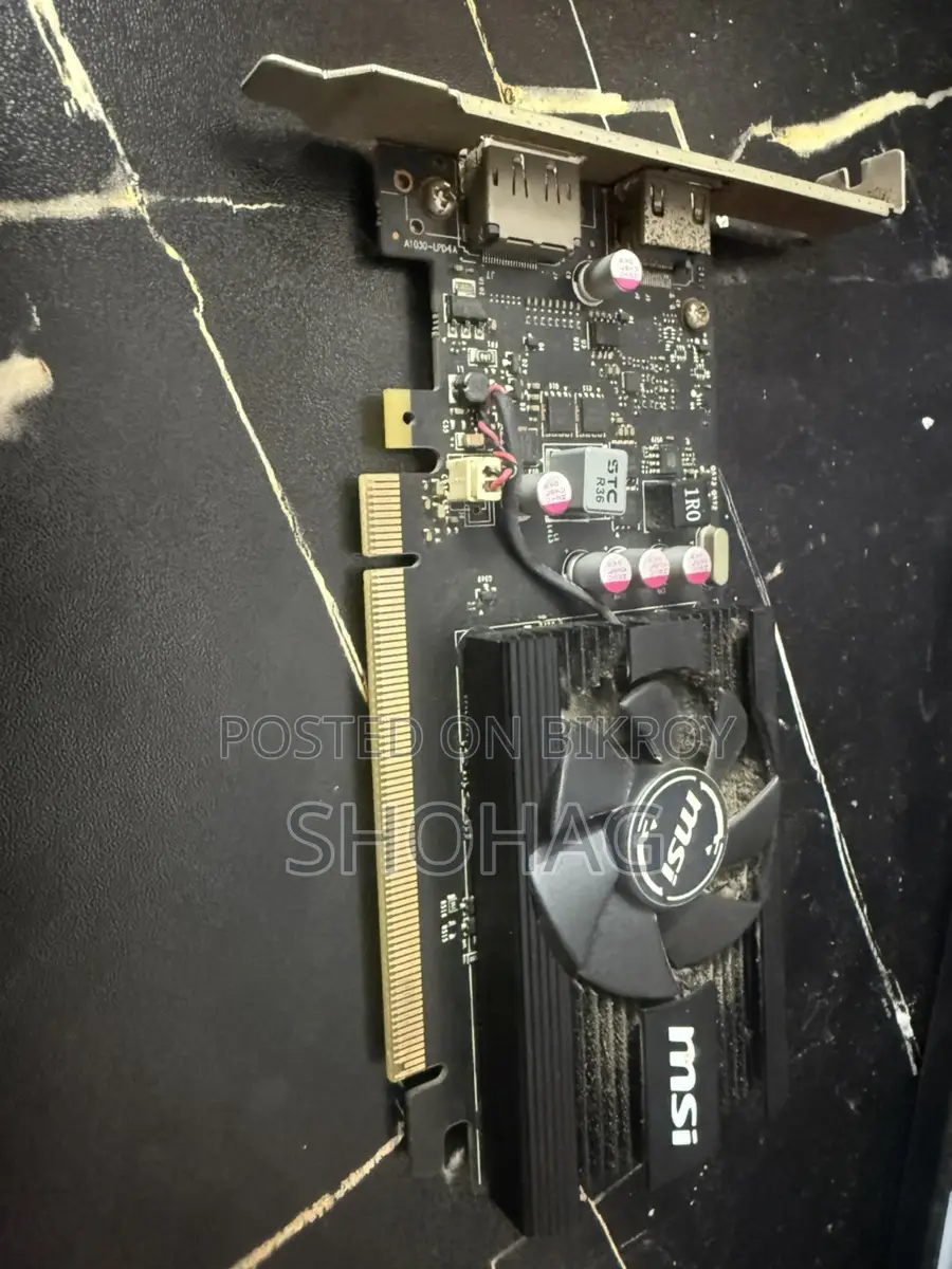 GeForce GT 1030 2GD4 LP OC