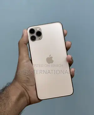 Apple iPhone 11 Pro Max 256 gb (Used)
