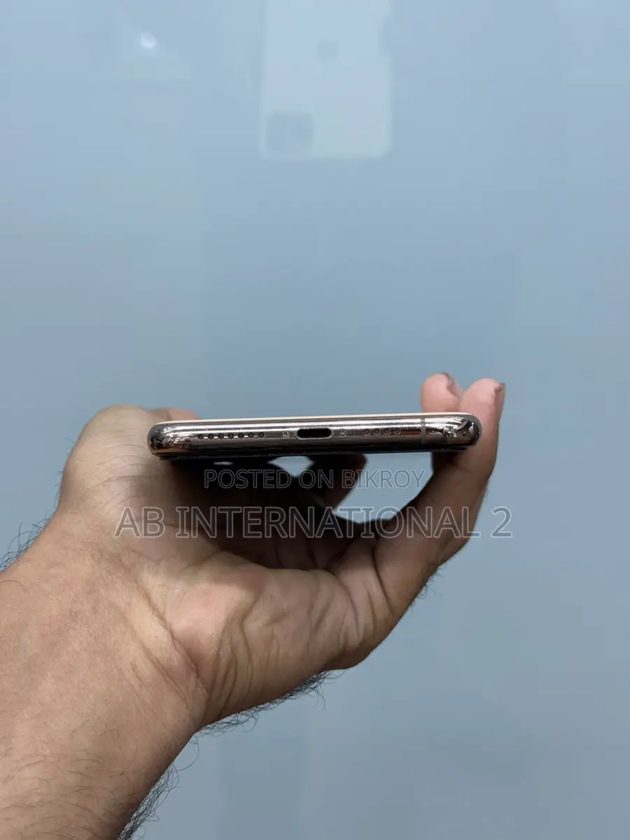 Apple iPhone 11 Pro Max 256 gb (Used)