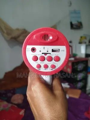 Hand Mic
