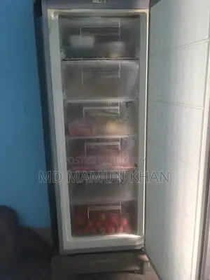 ফুল ডিপ ফ্রিজ