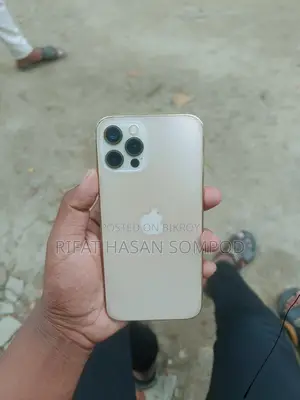 Apple iPhone 12 Pro China (Used)