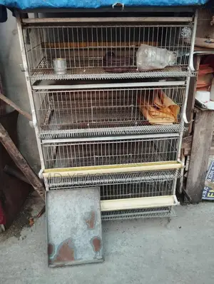 কোয়েল পাখির খাঁচা বিক্রি হবে