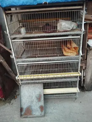 কোয়েল পাখির খাঁচা বিক্রি হবে আর্জেন্ট