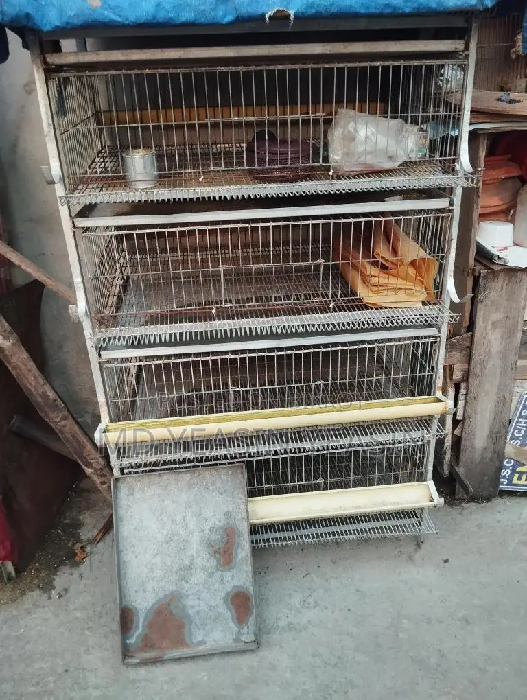 কোয়েল পাখির খাঁচা বিক্রি হবে আর্জেন্ট