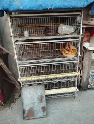 কোয়েল পাখির খাঁচা বিক্রি হবে আর্জেন্ট