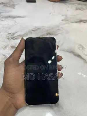 Apple iPhone 12 (Used)