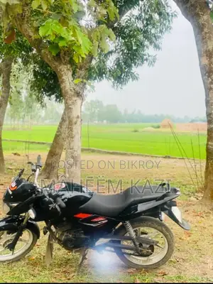 Bajaj Pulsar 150 - 2007