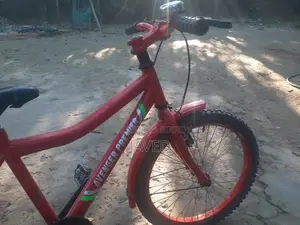 Bicycle For Sale