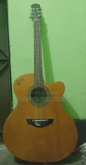 Signature Guitar