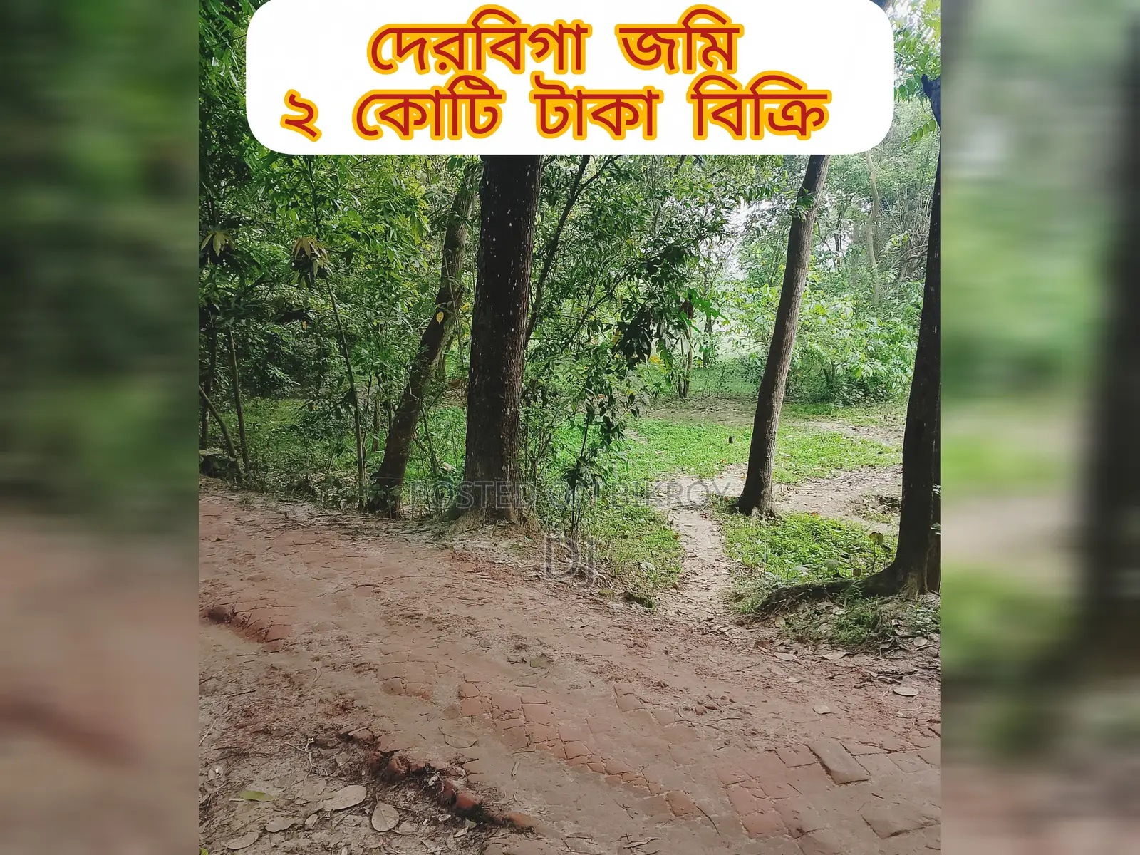 1.5 Bigha Land for Sale