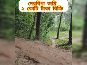 1.5 Bigha Land for Sale