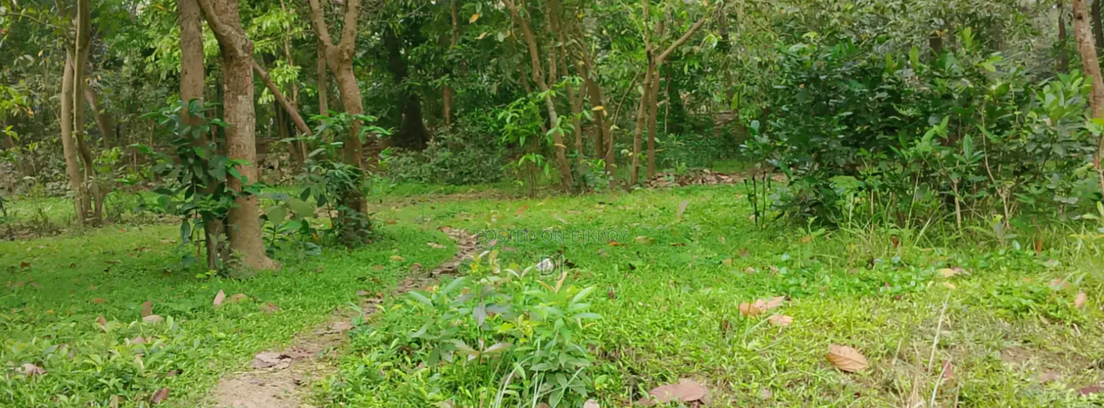 1.5 Bigha Land for Sale