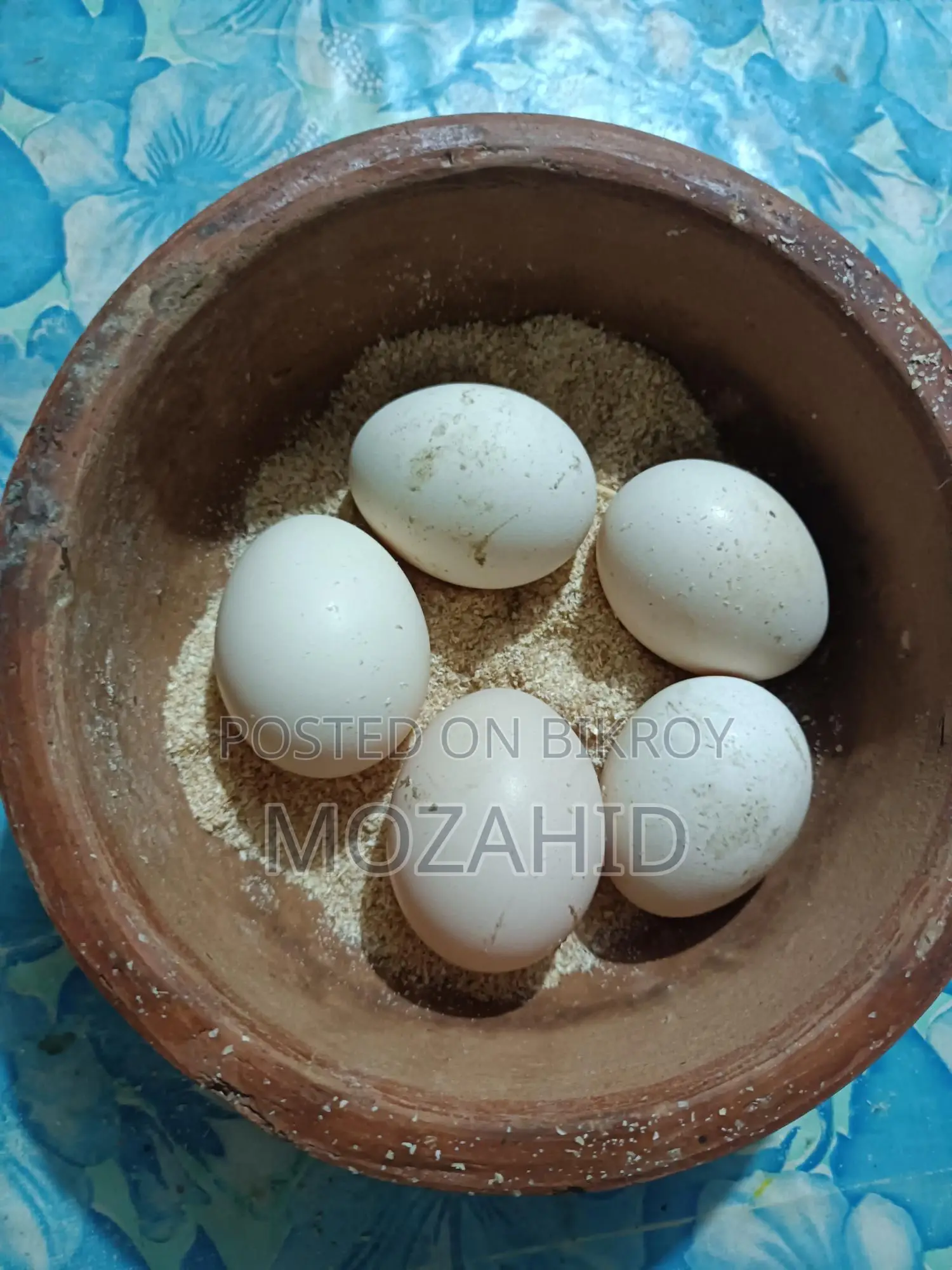 Sarali Lakhna Chicken Fertile Eggs