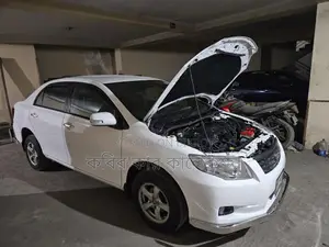 Toyota Axio white 2006
