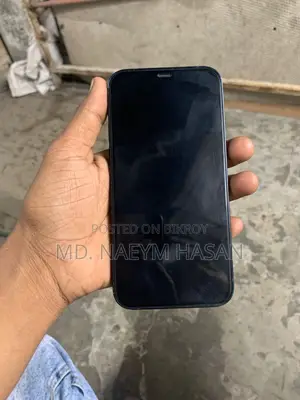 Apple iPhone 12 (Used)