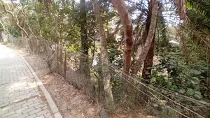 17 Decimal Land for Sale near Kuakata and Payra Port, Total Price 1,400,000 BDT
