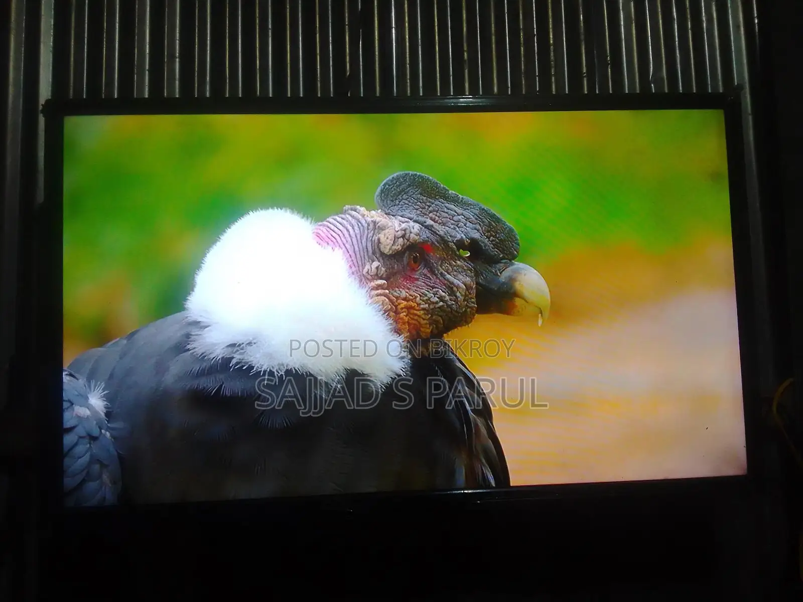Walton TV for sale