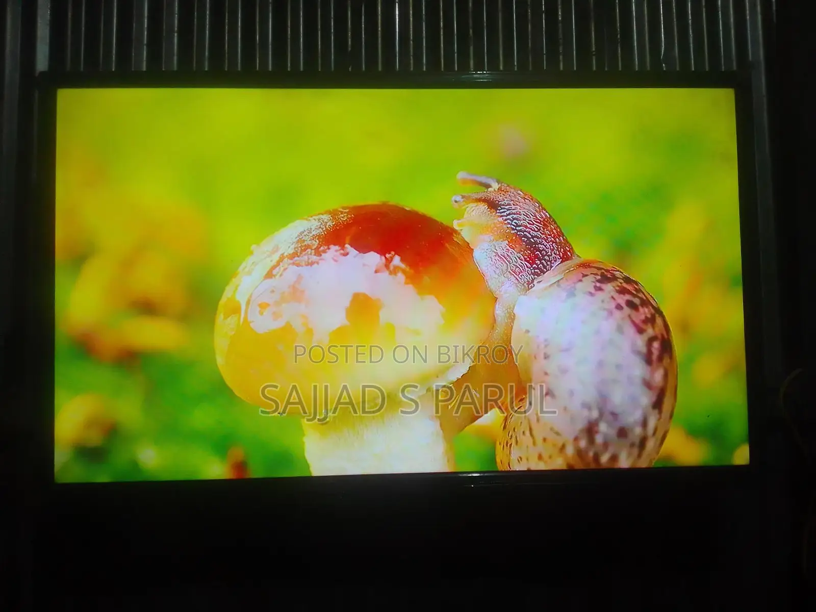 Walton TV for sale