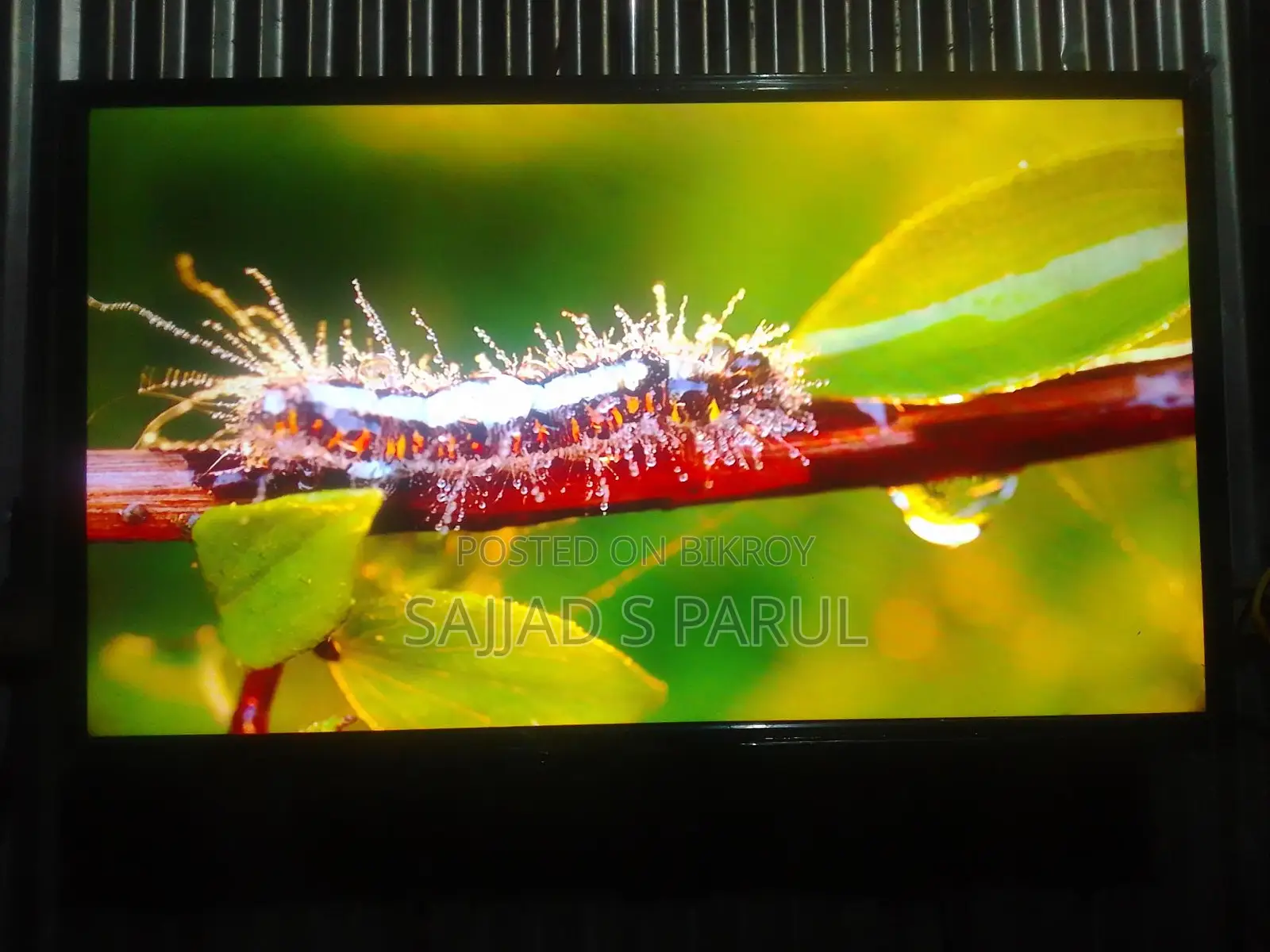 Walton TV for sale