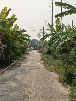 Sector-29, 54ft×30ft, Road Corner 5 Katha