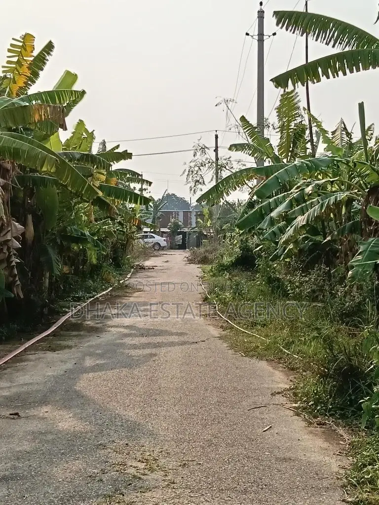 Sector-29, 54ft×30ft, Road Corner 5 Katha