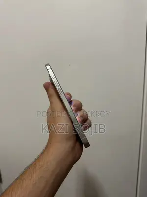 Apple iPhone 15 pro max (Used)