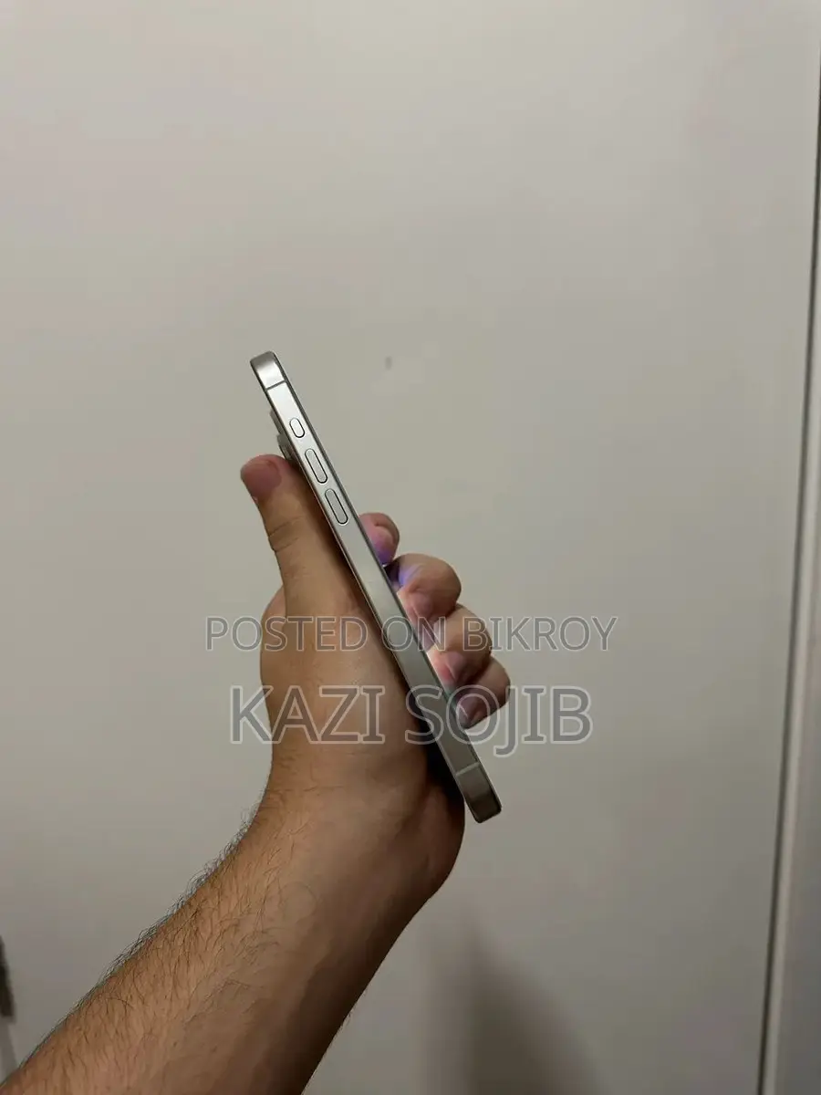 Apple iPhone 15 pro max (Used)