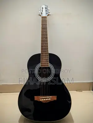 Custom Brand Guitar Sale