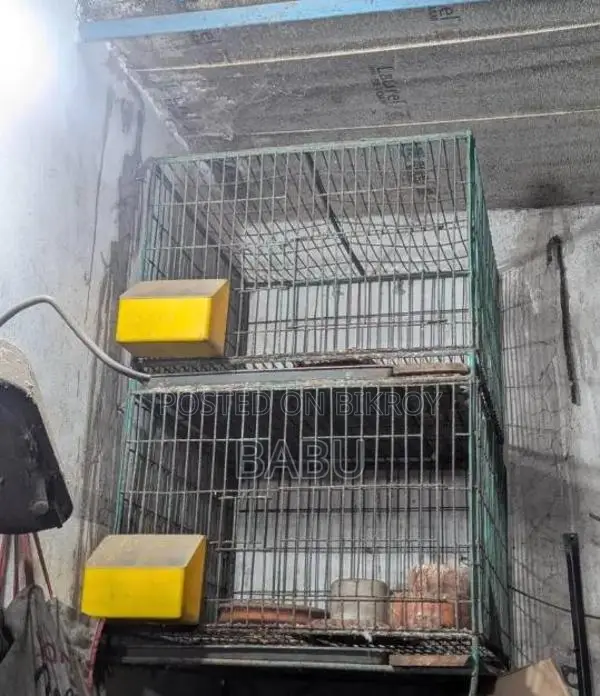 24-24 Thick Wire Cage