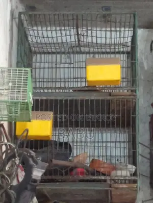 24-24 Thick Wire Cage