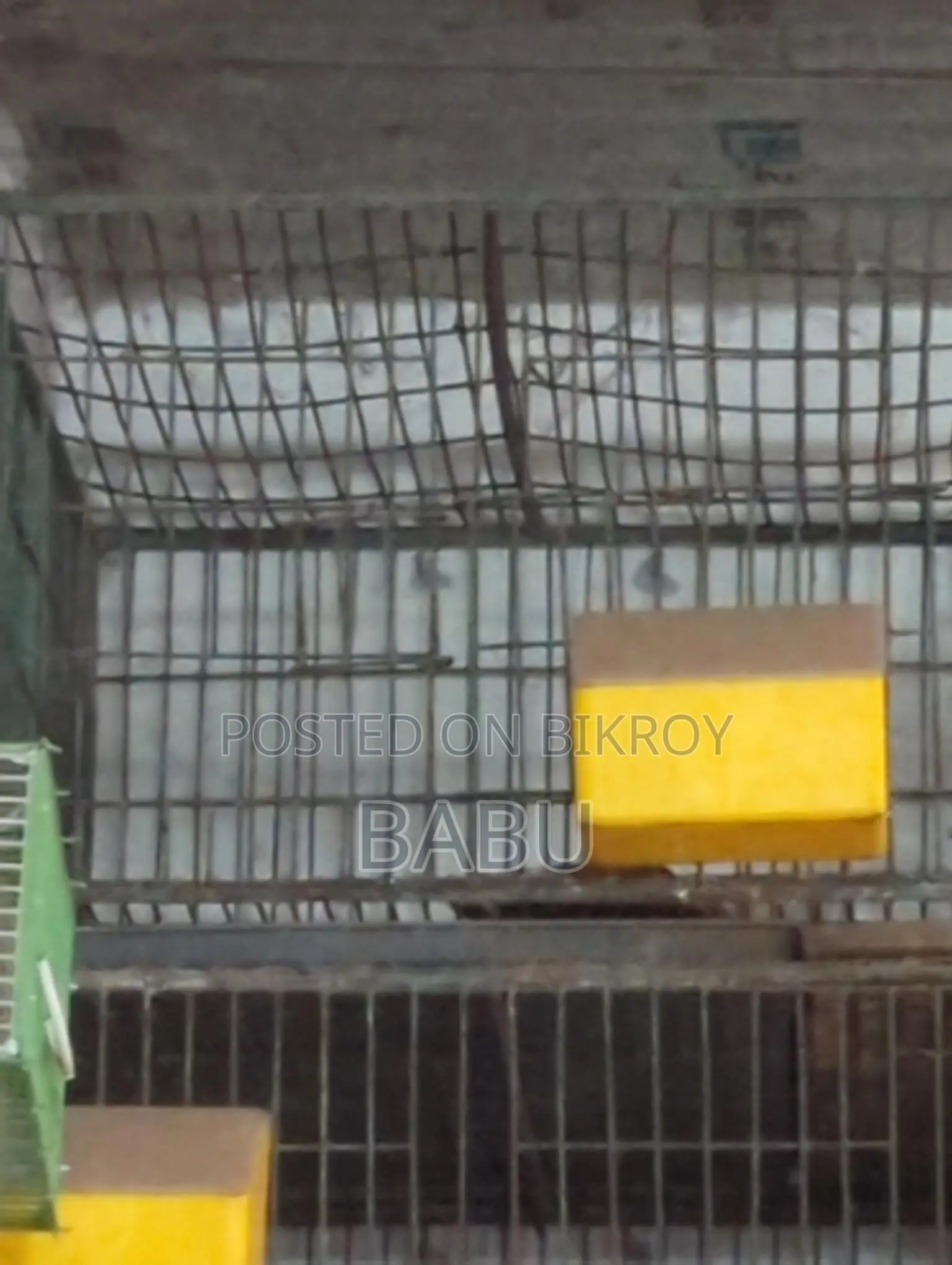24-24 Thick Wire Cage
