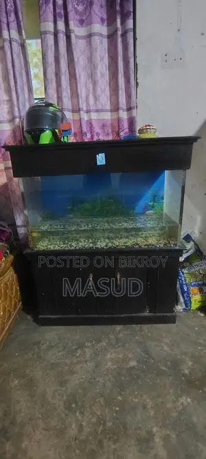 Aquarium