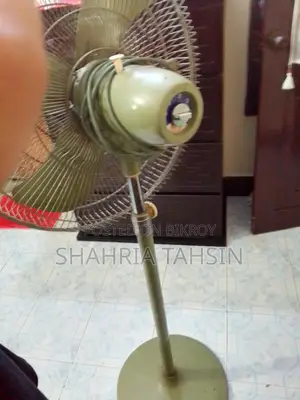 পাকিস্তানি ফ্যান