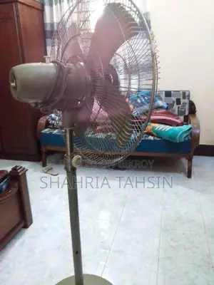 পাকিস্তানি ফ্যান
