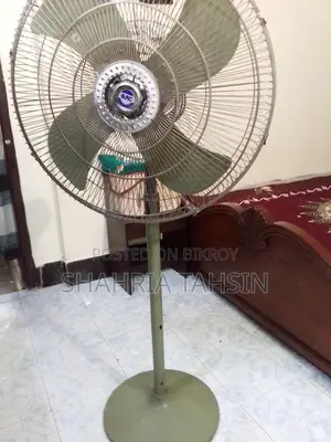 পাকিস্তানি ফ্যান
