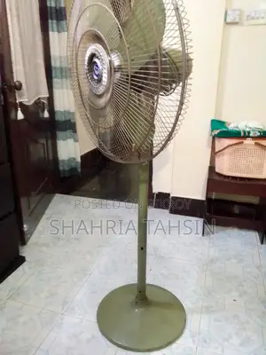 পাকিস্তানি ফ্যান