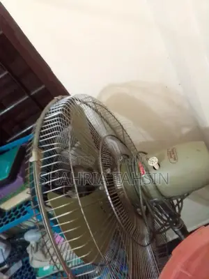 পাকিস্তানি ফ্যান