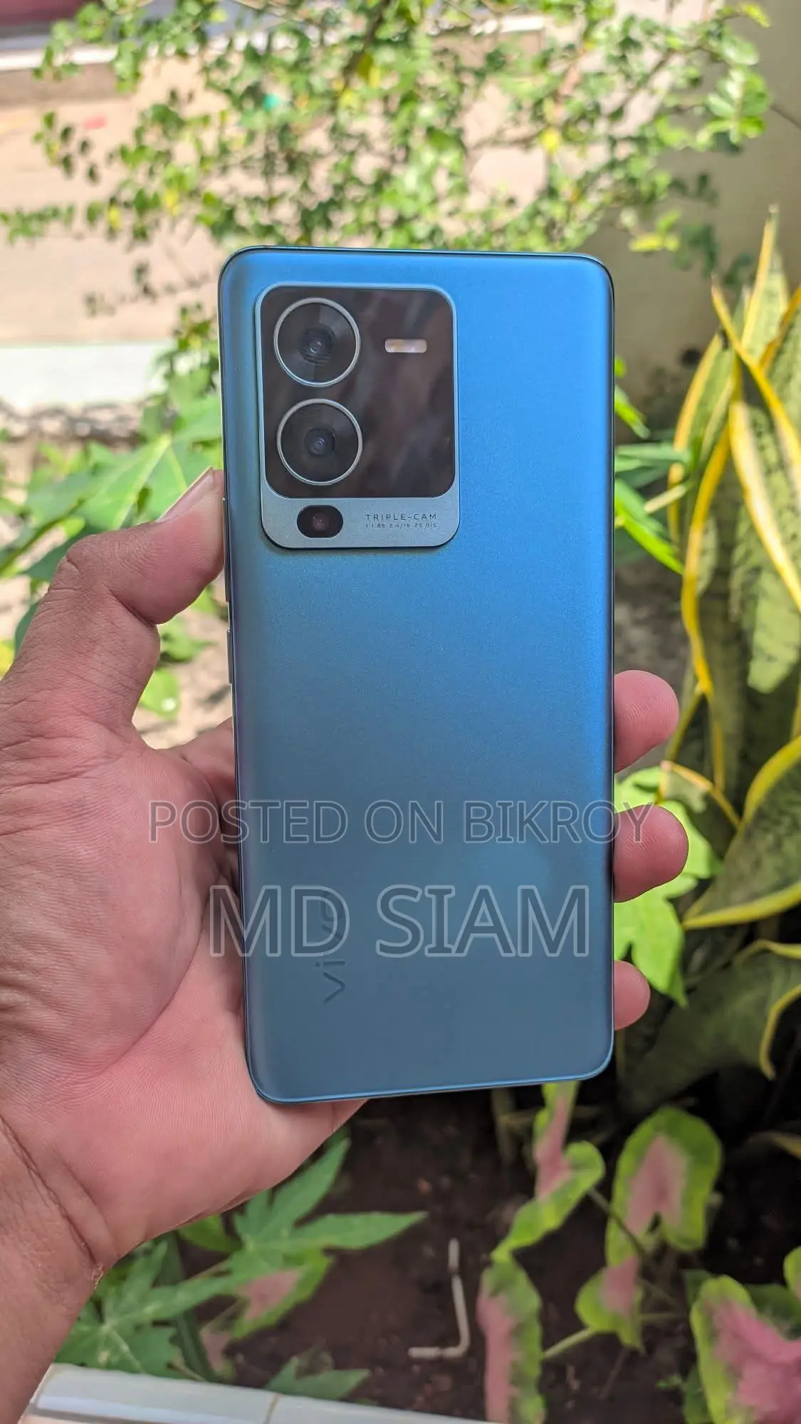 Vivo V25 Pro 5G (Used)