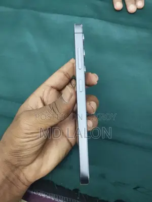 স্যামসাং গ্যালাক্সি এস২৪ (ব্যবহৃত)
