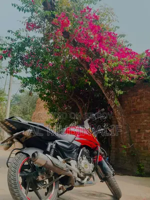 Bajaj Pulsar 150 . 2010