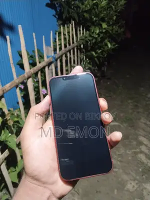 Apple iPhone 13 (Used)