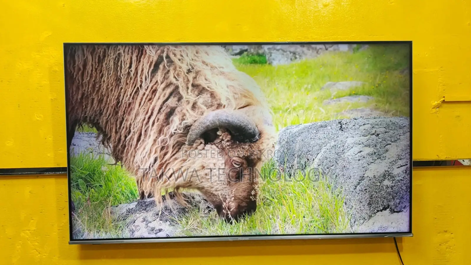 Hisense-55" Inch Smart TV 4K QLED Frameless