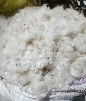 শিমুলের তোলা