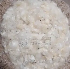 শিমুলের তোলা