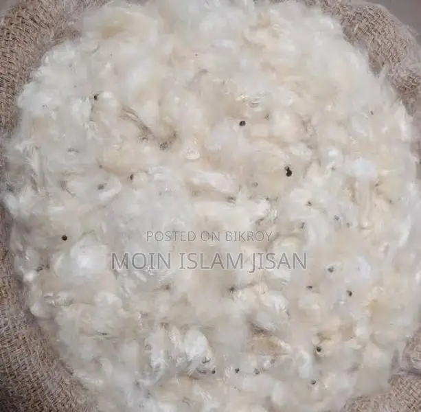শিমুলের তোলা