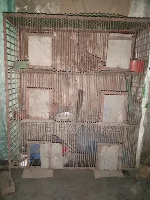 This cage is for sale, suitable for both chickens or pigeons.